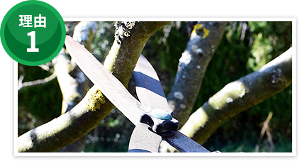 1本から伐採・剪定など対応可能